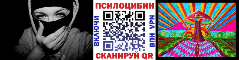 Купить закладки  Новоаннинский  Галлюциногенные грибы MAGIC MUSHROOMS 